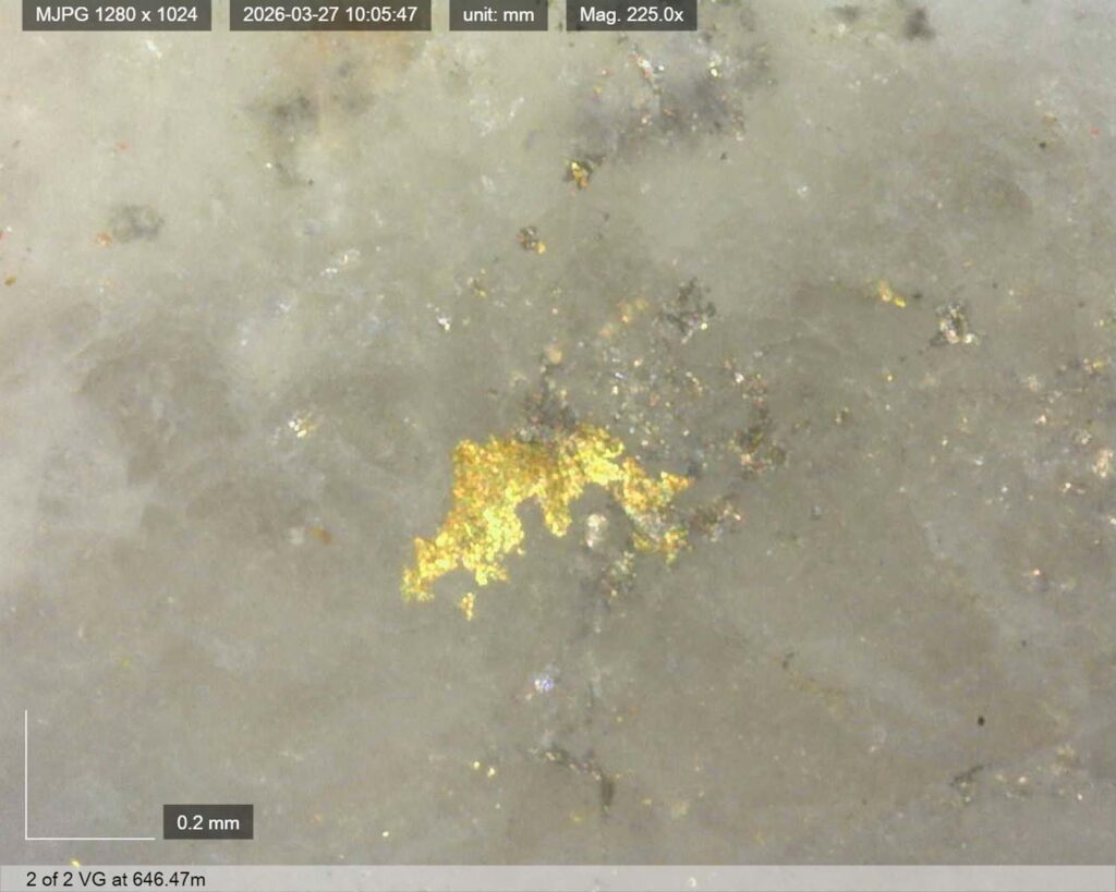 Ddrccc 26 121 Vg 646.47m 1