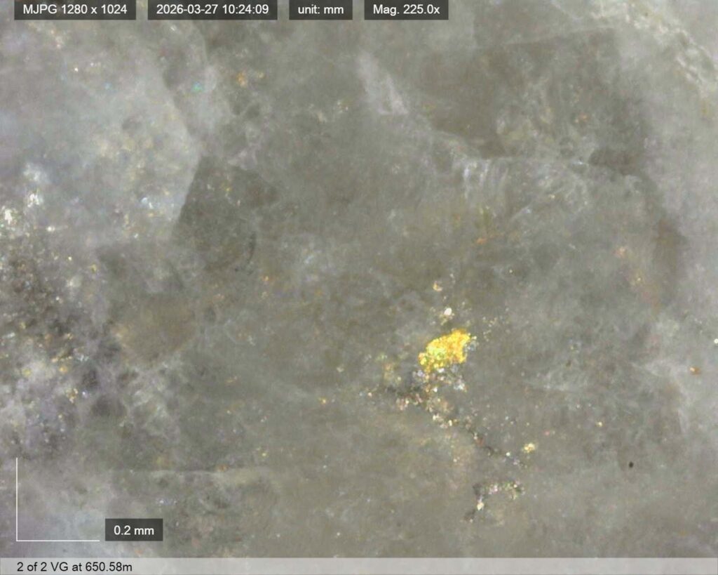 Ddrccc 26 121 Vg 650.58m 1