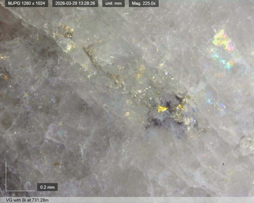 Ddrccc 26 121 Vg 731. 28m