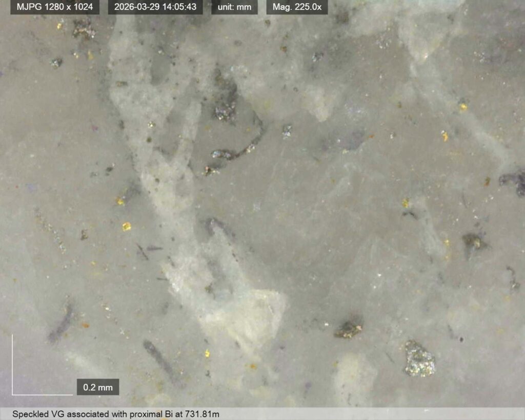 Ddrccc 26 121 Vg 731. 81m 0