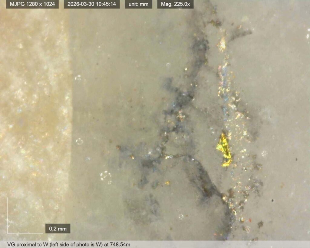 Ddrccc 26 121 Vg 748.54m 0
