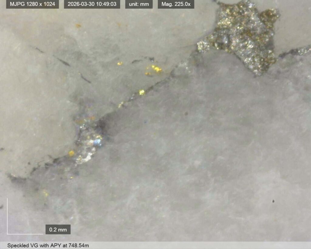 Ddrccc 26 121 Vg 748.54m 4