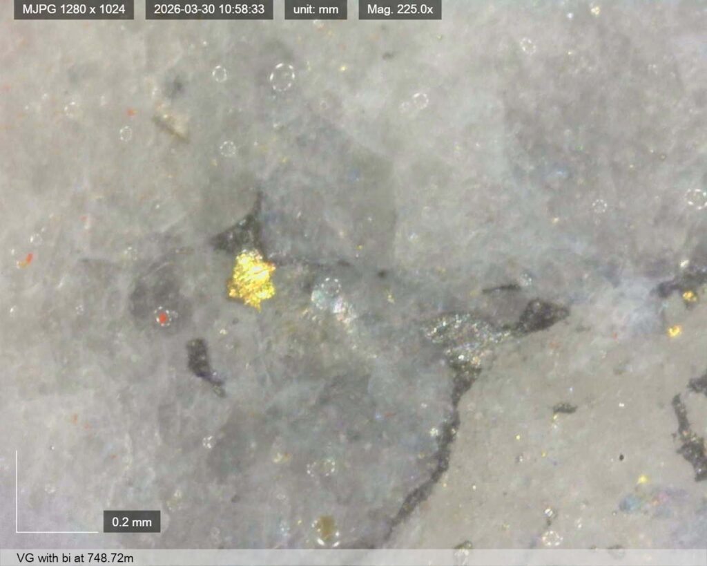 Ddrccc 26 121 Vg 748.72m 2