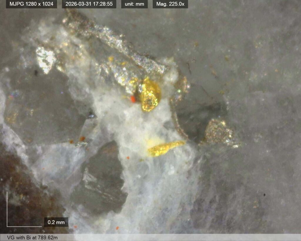 Ddrccc 26 121 Vg 789.62m