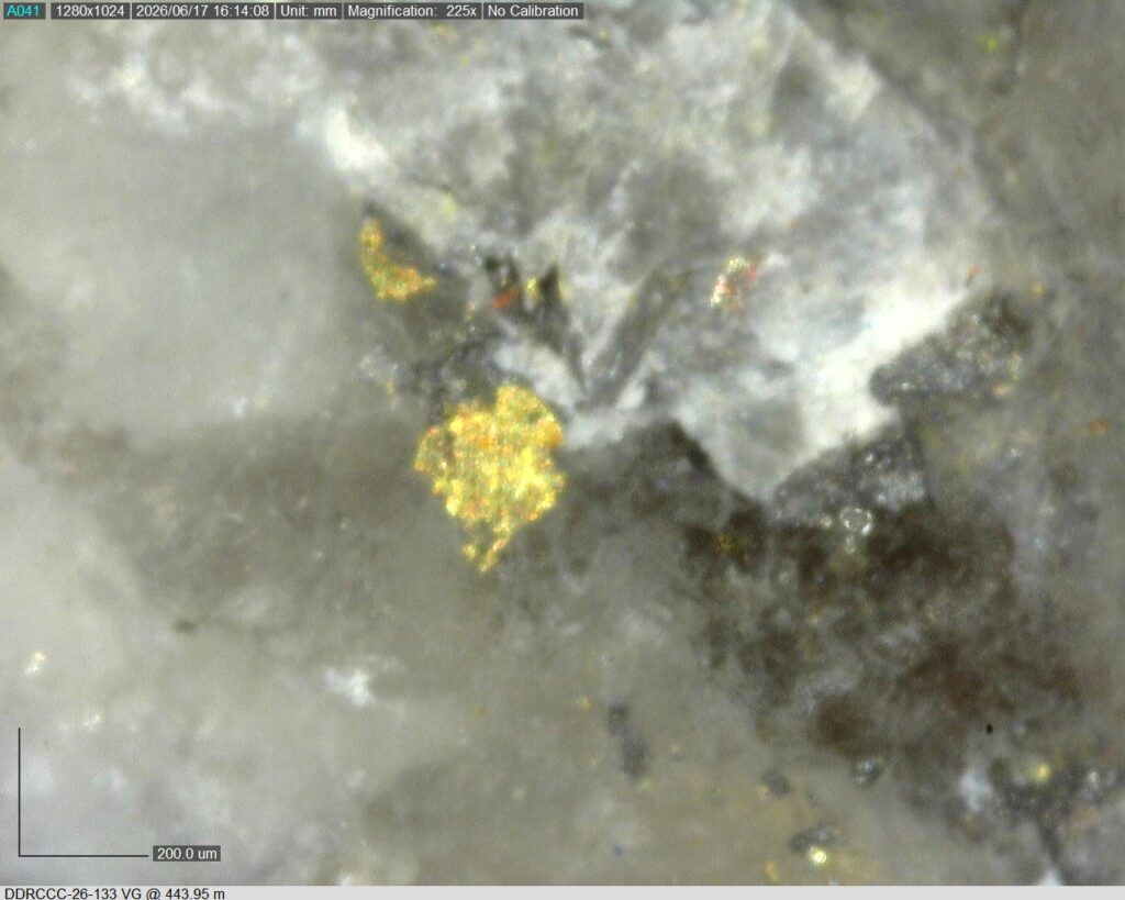 Ddrccc 26 133 Vg 443.95 M