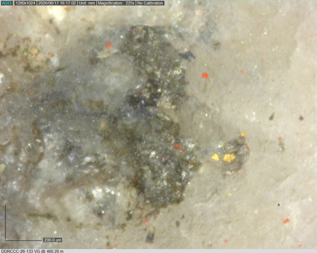 Ddrccc 26 133 Vg 460.20 M