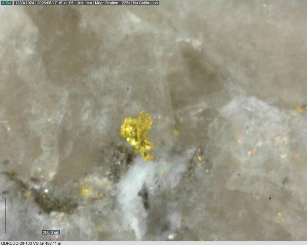 Ddrccc 26 133 Vg 488.11 M