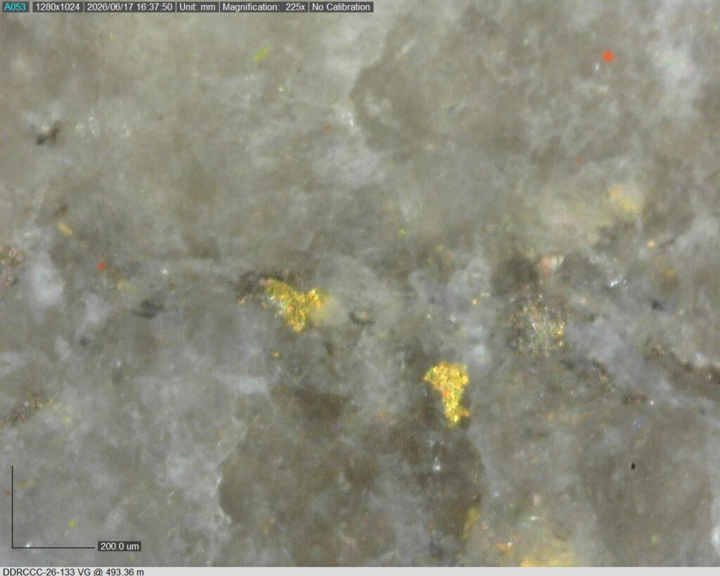 Ddrccc 26 133 Vg 493.36 M