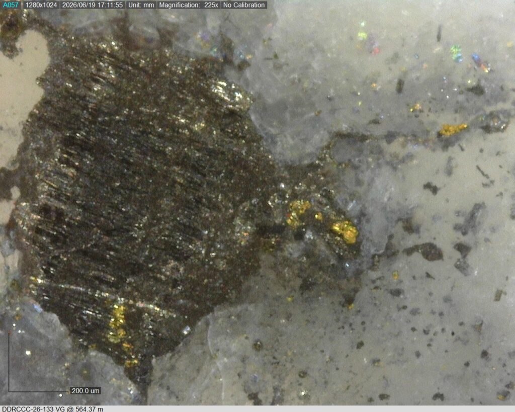 Ddrccc 26 133 Vg 564.37 M