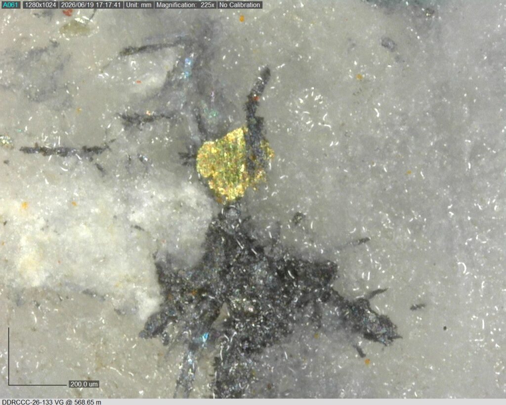 Ddrccc 26 133 Vg 568.65 M