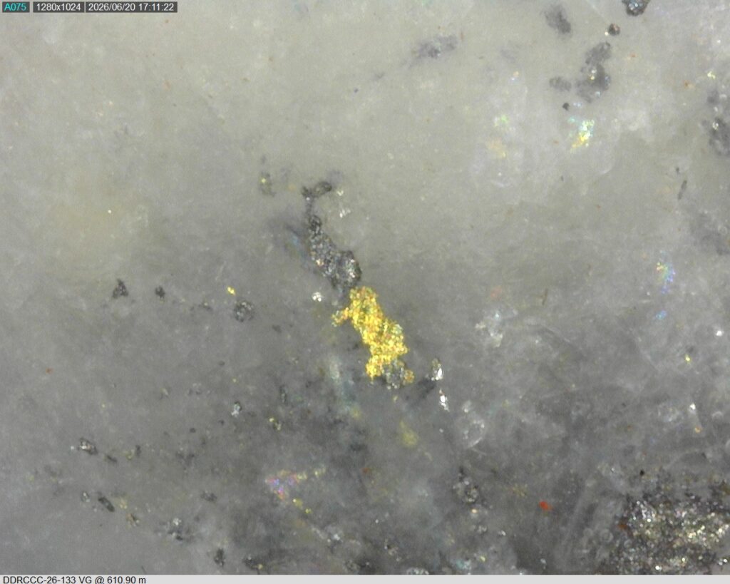 Ddrccc 26 133 Vg 610.90 M