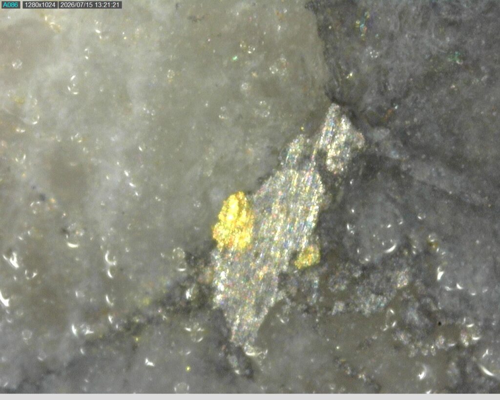 Ddrccc 26 145 Vg 203.08m