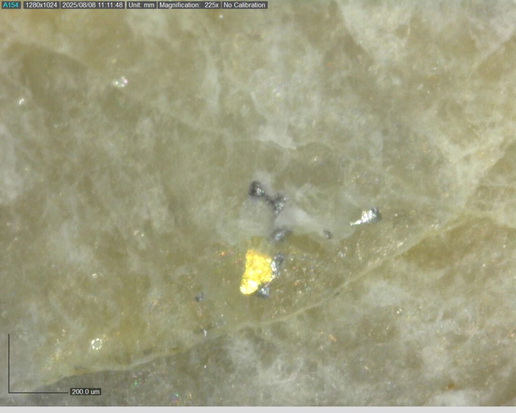 Ddrcgr 25 021 Vg At 295.08m 225x