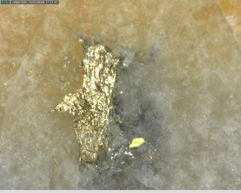 Ddrcgr 25 021 Vg At 317.42m 225x