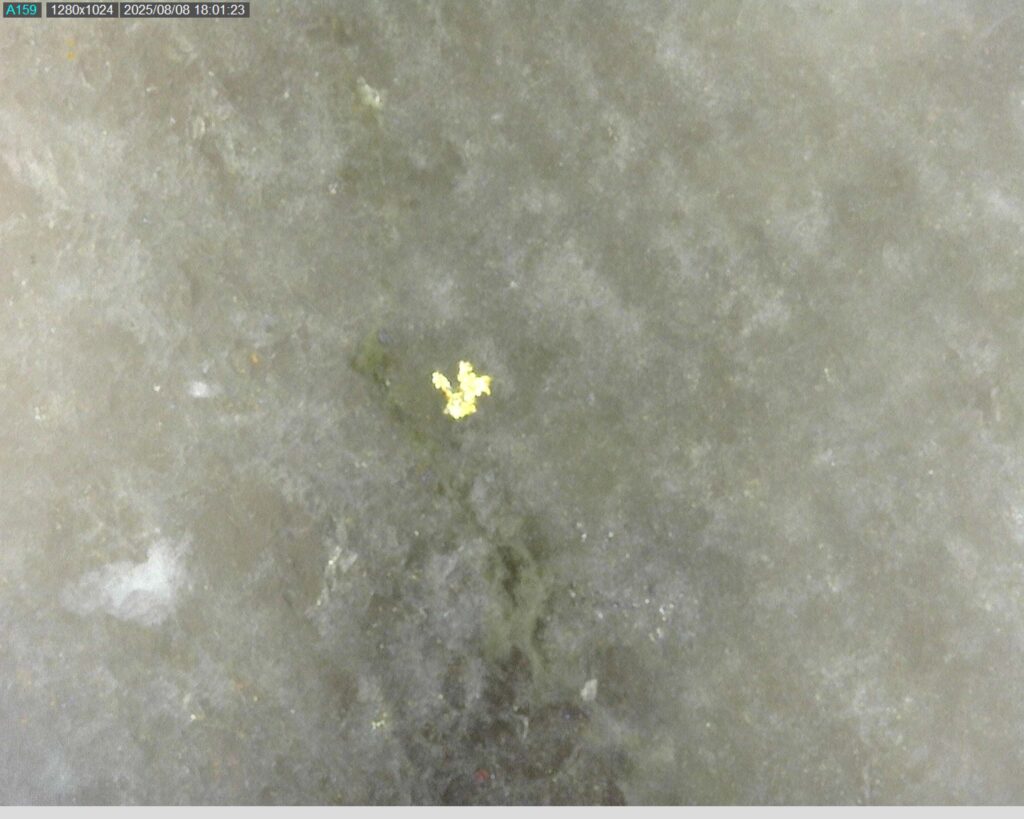 Ddrcgr 25 021 Vg At 319.19m 225x