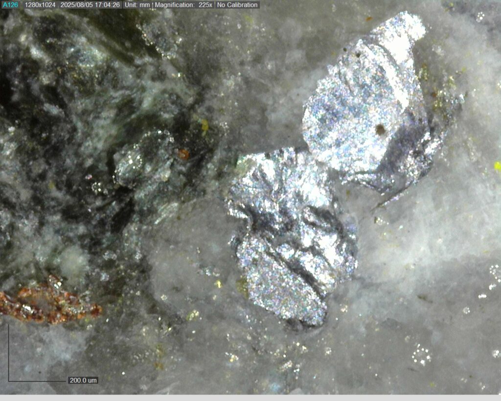 Ddrcgr 25 021 Vg At 53.88m 225x