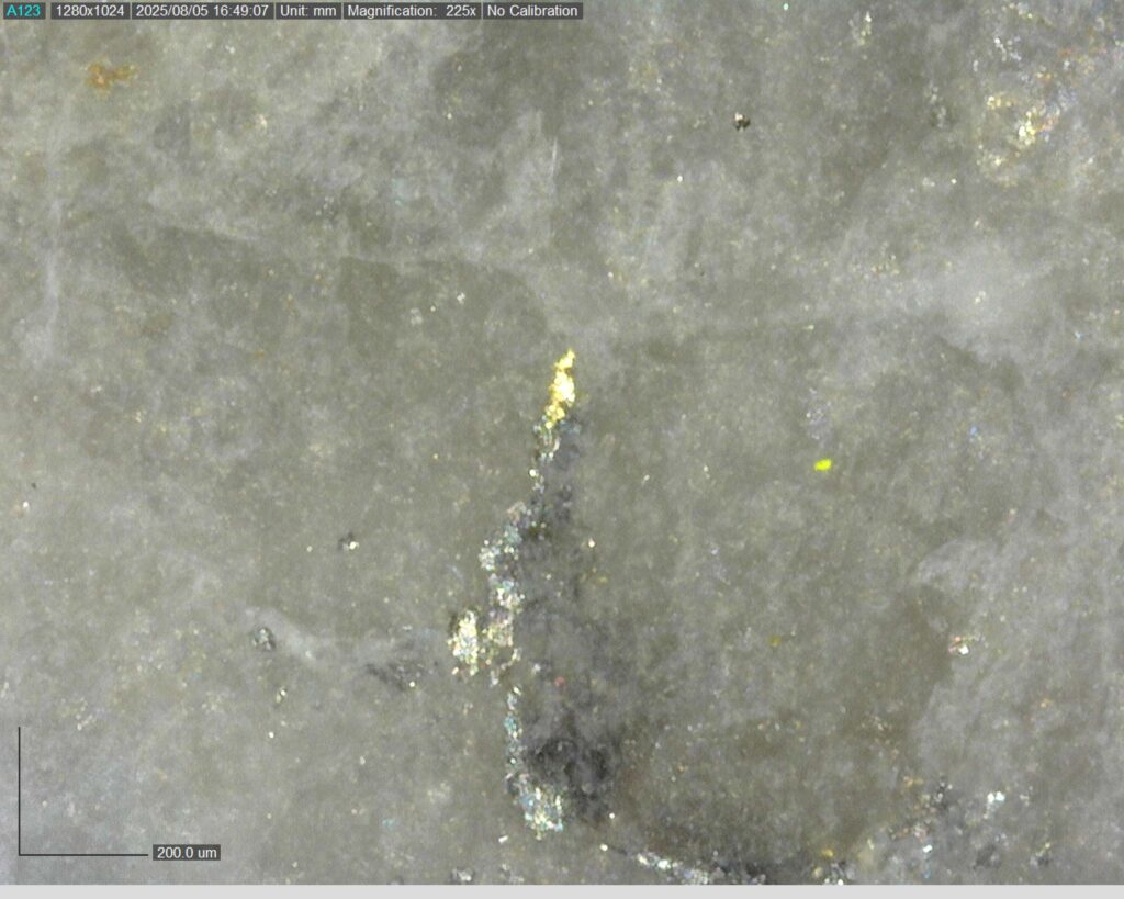 Ddrcgr 25 021 Vg At 54.55m 225x