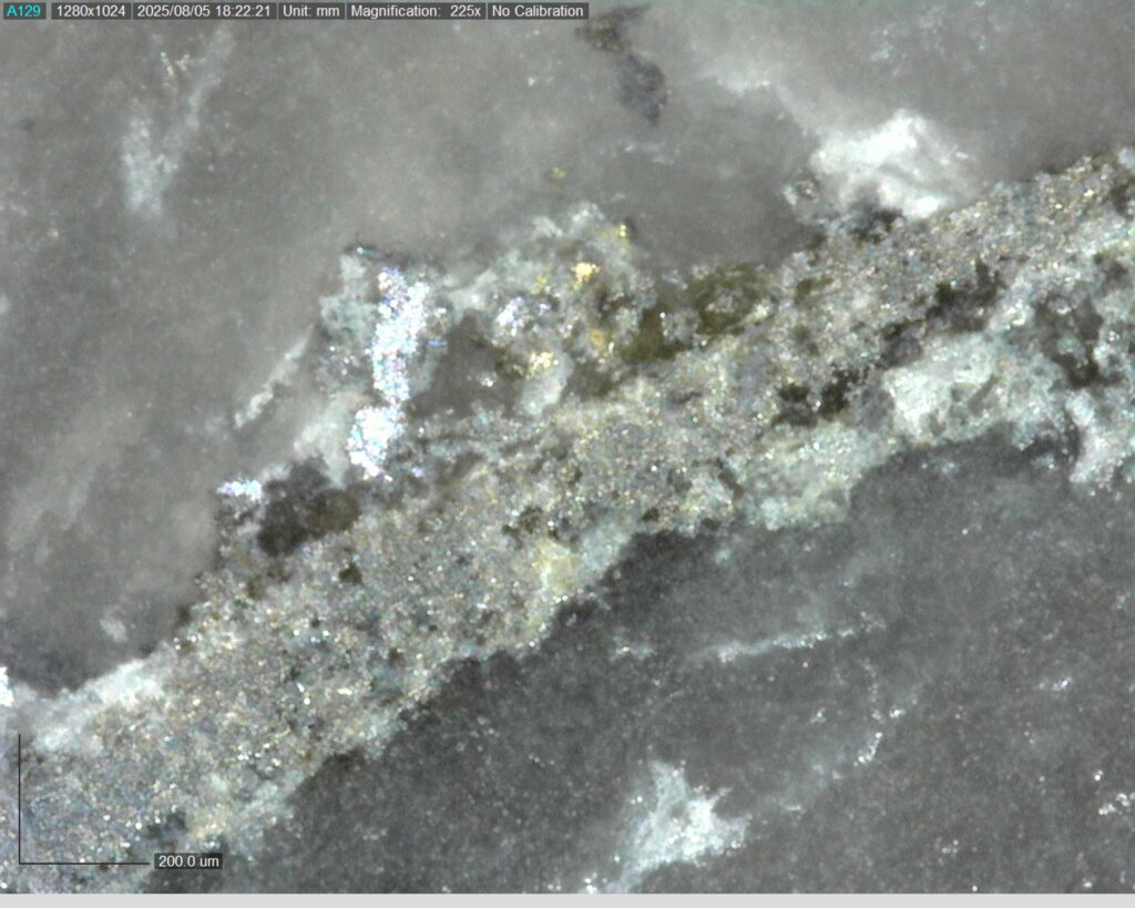 Ddrcgr 25 021 Vg At 76.75m 225x