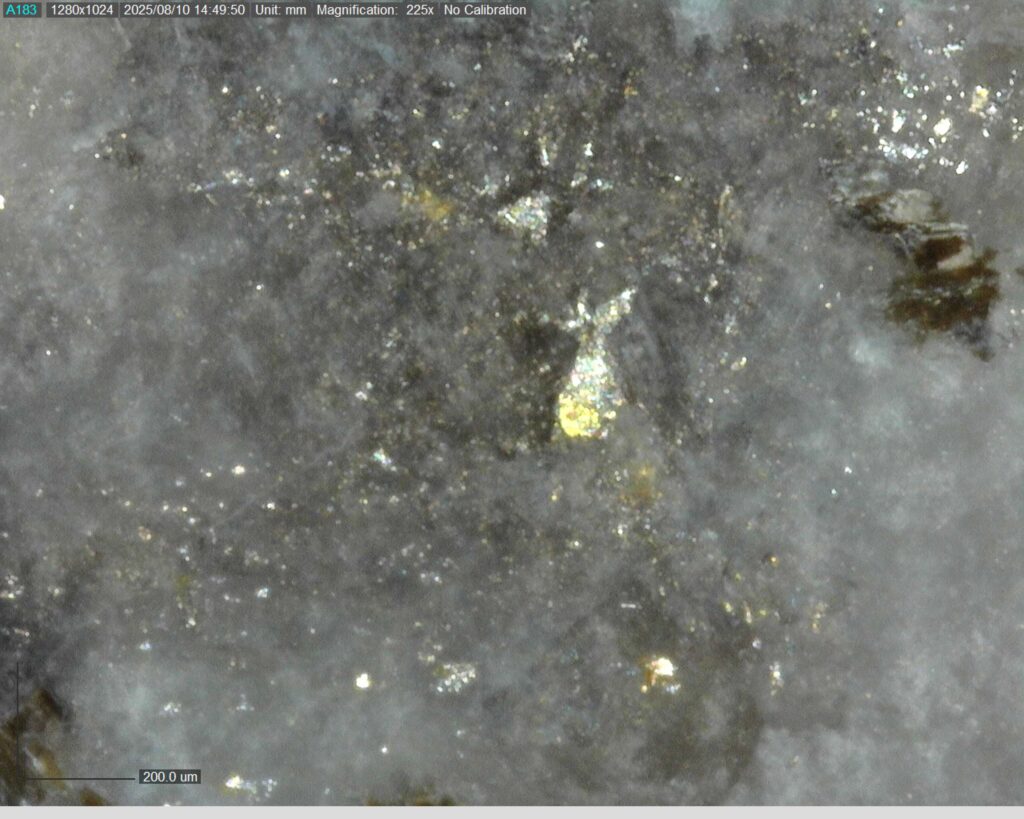 Ddrcgr 25 023 Vg At 114.90m 225x