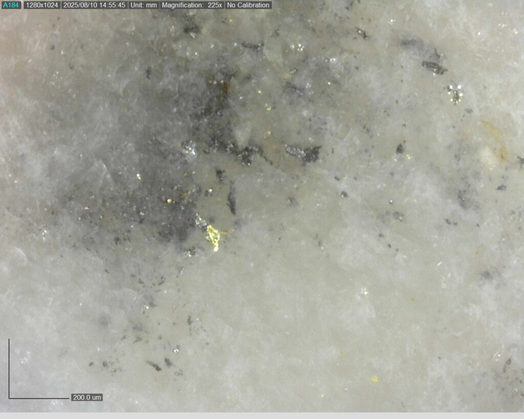 Ddrcgr 25 023 Vg At 144.65m 225x