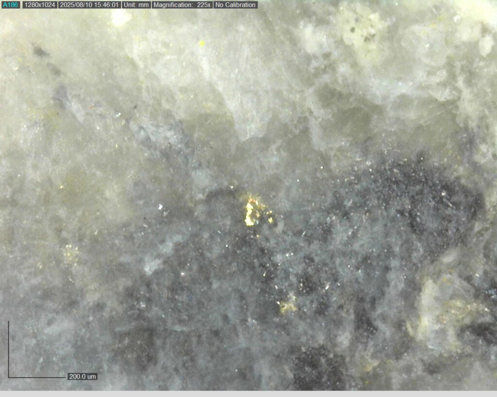Ddrcgr 25 023 Vg At 154.95m 225x