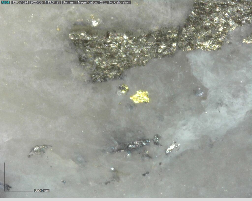 Ddrcgr 25 023 Vg At 215.70m 225x2