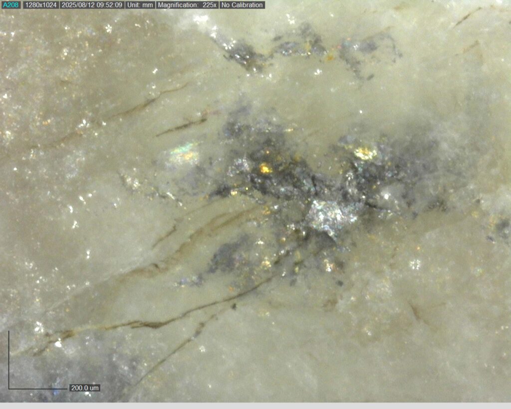 Ddrcgr 25 023 Vg At 255.73m 225x0