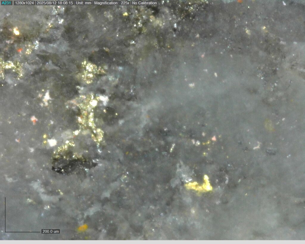 Ddrcgr 25 023 Vg At 287.17m 225x2