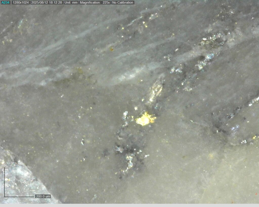 Ddrcgr 25 023 Vg At 287.42m 225x1