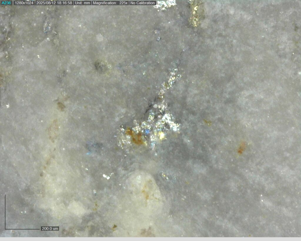 Ddrcgr 25 023 Vg At 305.38m 225x