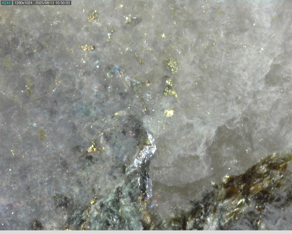 Ddrcgr 25 023 Vg At 337.20m 225x
