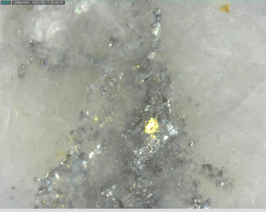Ddrcgr 25 023 Vg At 354.24m 225x0