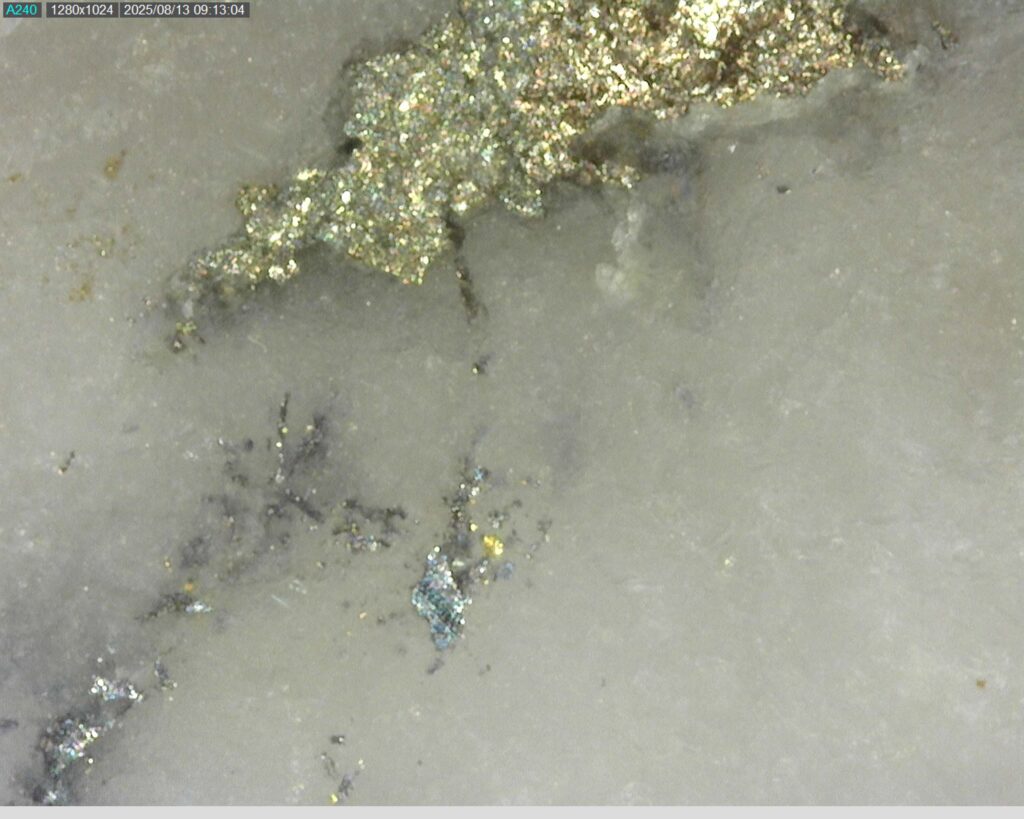 Ddrcgr 25 023 Vg At 354.72m 225x0