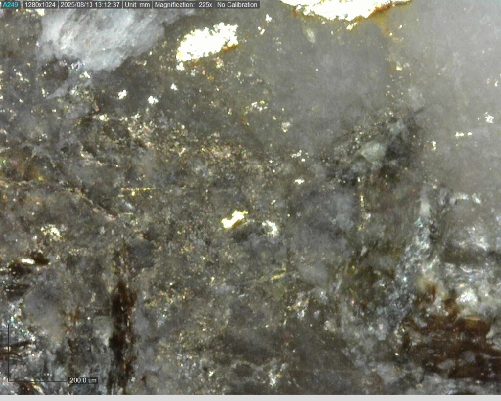 Ddrcgr 25 023 Vg At 355.33m 225x0