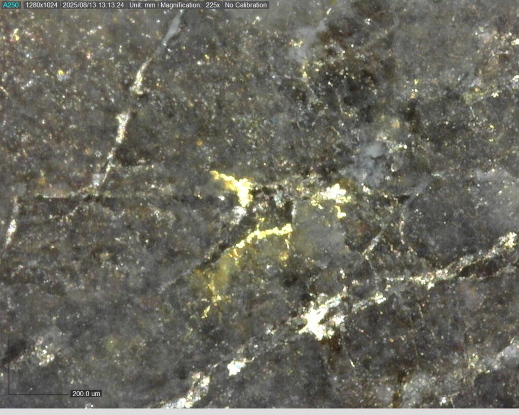 Ddrcgr 25 023 Vg At 355.33m 225x1