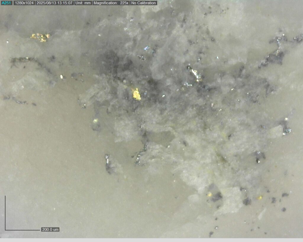 Ddrcgr 25 023 Vg At 356.25m 225x