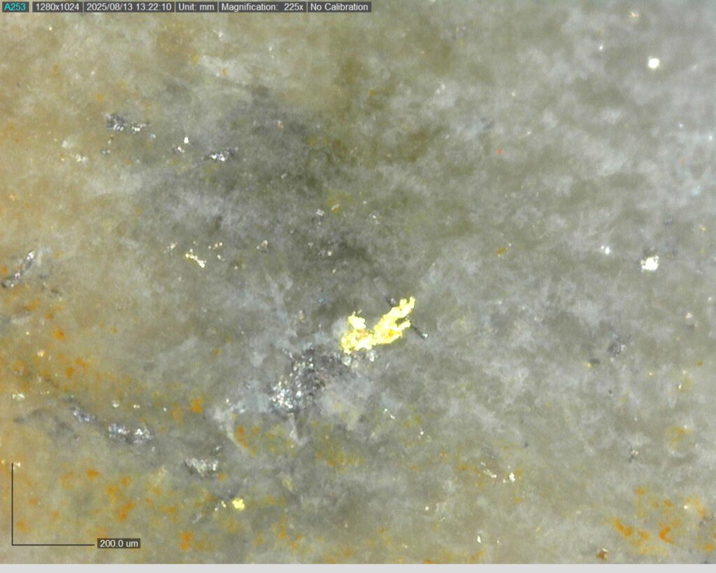 Ddrcgr 25 023 Vg At 362.75m 225x
