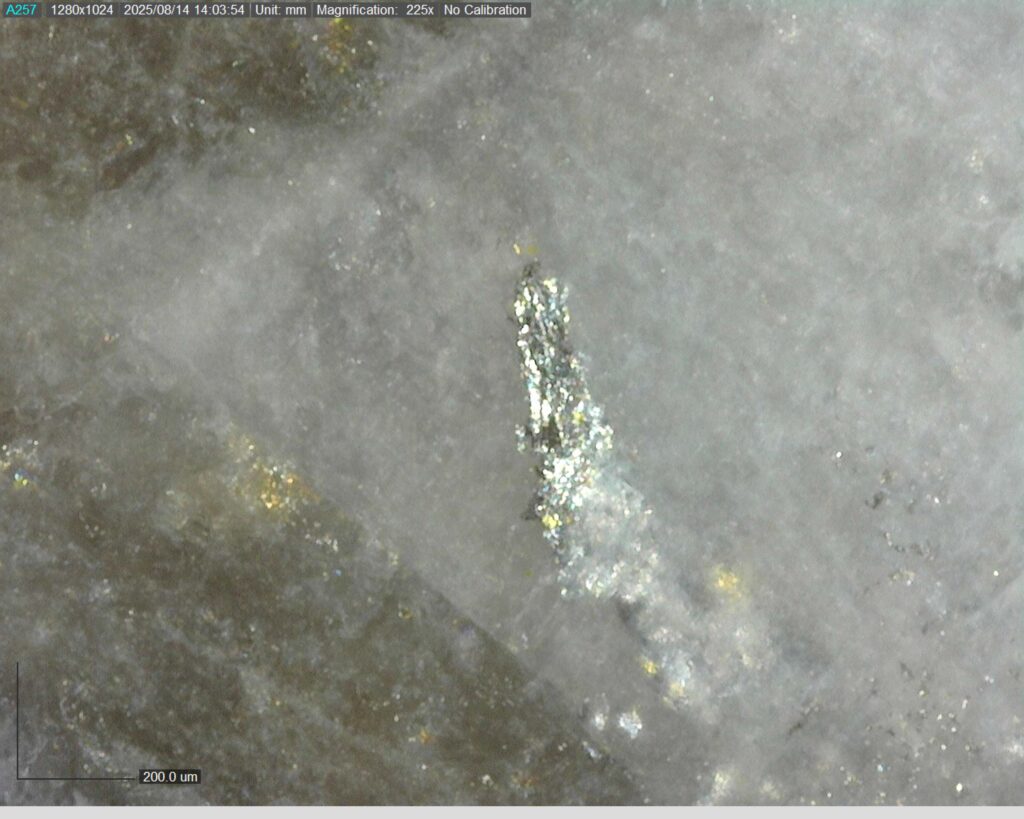 Ddrcgr 25 023 Vg At 394.55m 225x