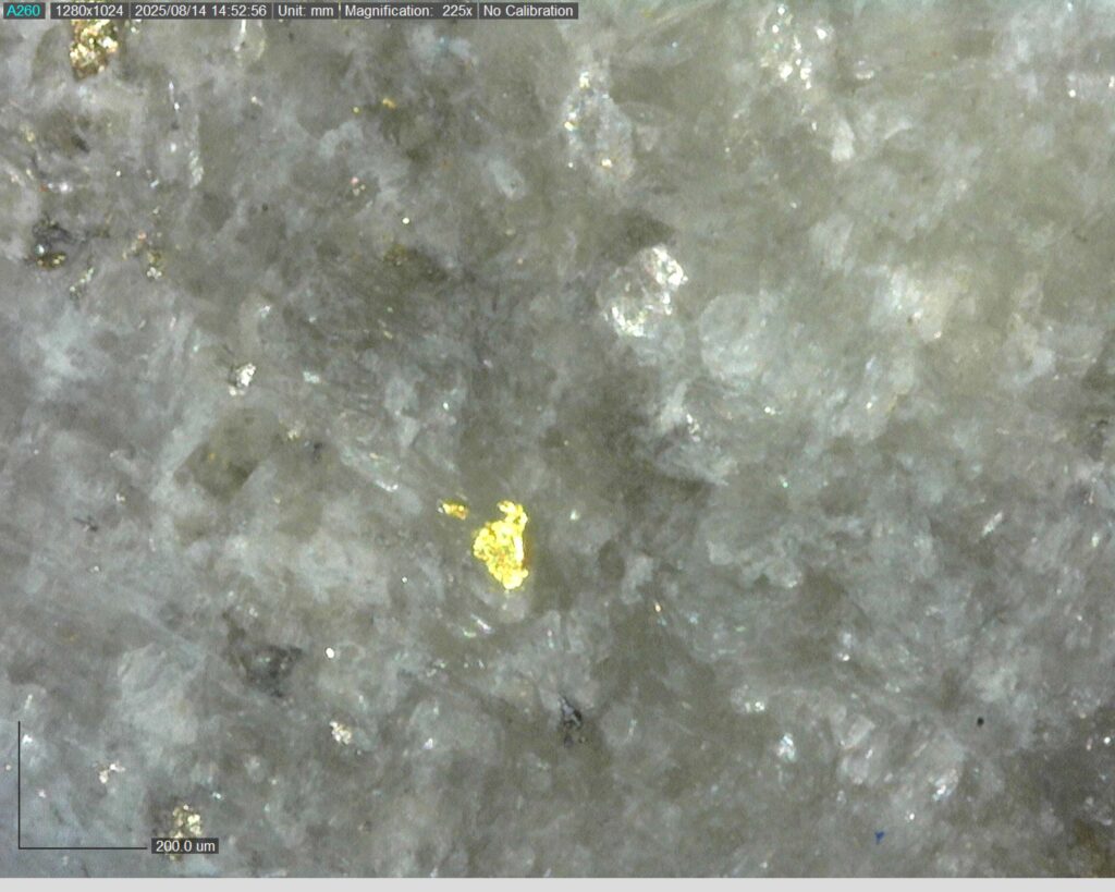 Ddrcgr 25 023 Vg At 409.81m 225x