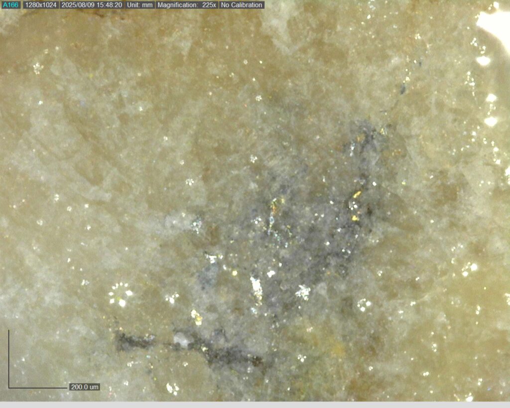 Ddrcgr 25 023 Vg At 54.45m 225x