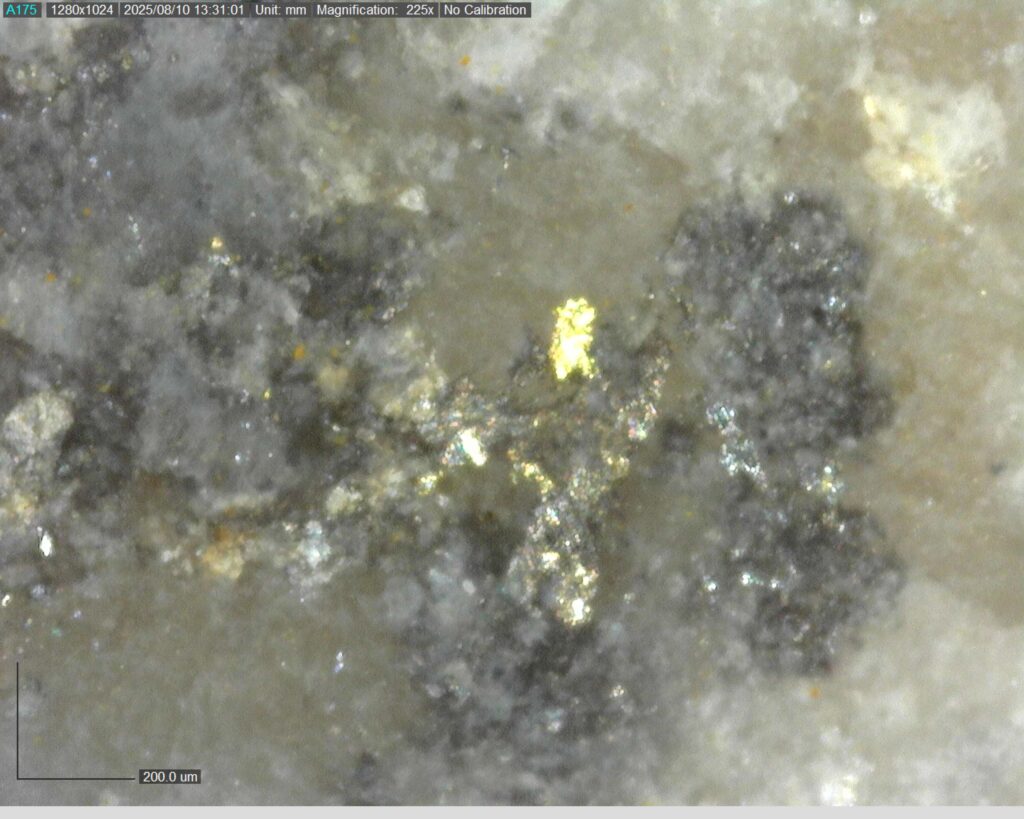 Ddrcgr 25 023 Vg At 85.20m 225x0