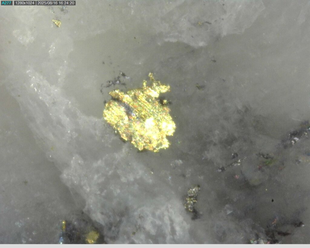 Ddrcgr 25 025 Vg At 149.01m 225x
