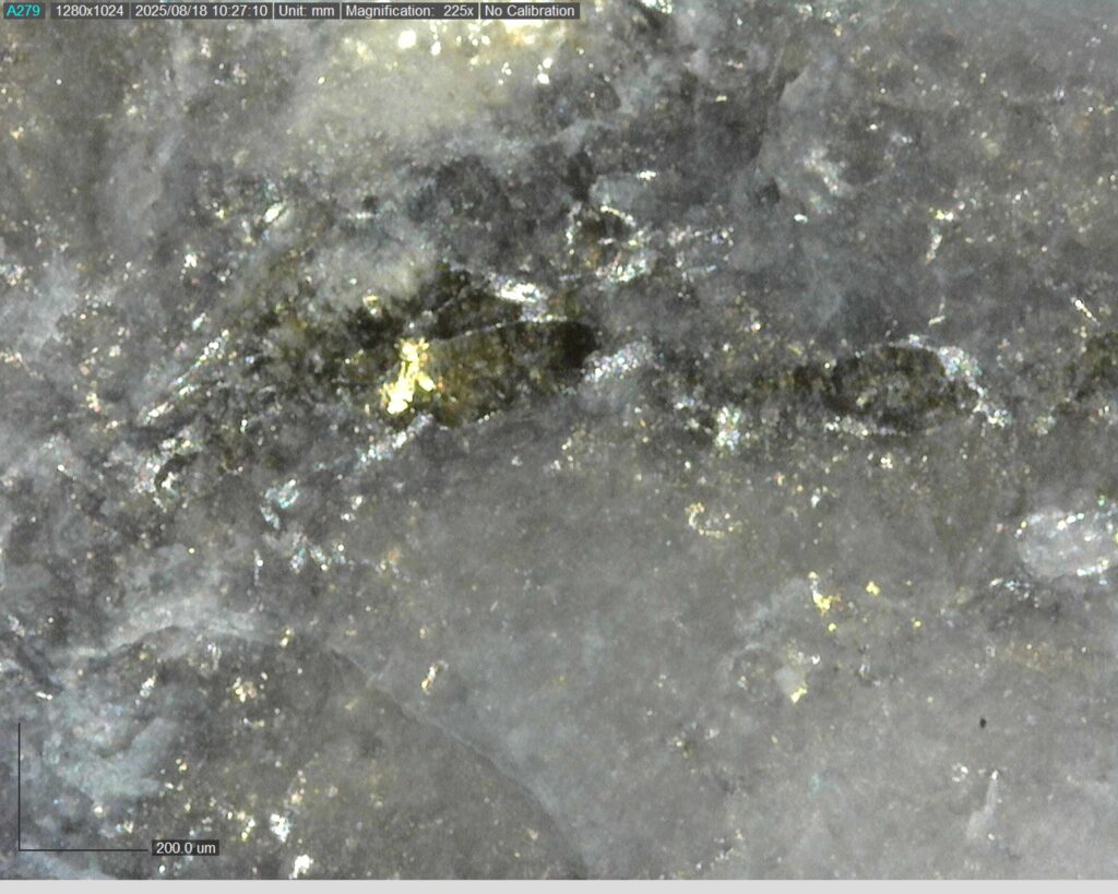 Ddrcgr 25 025 Vg At 197.06m 225x0