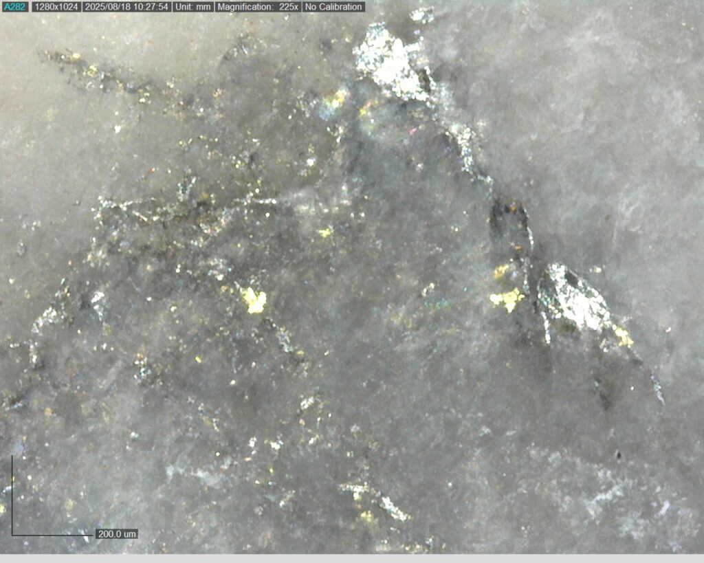 Ddrcgr 25 025 Vg At 197.06m 225x1
