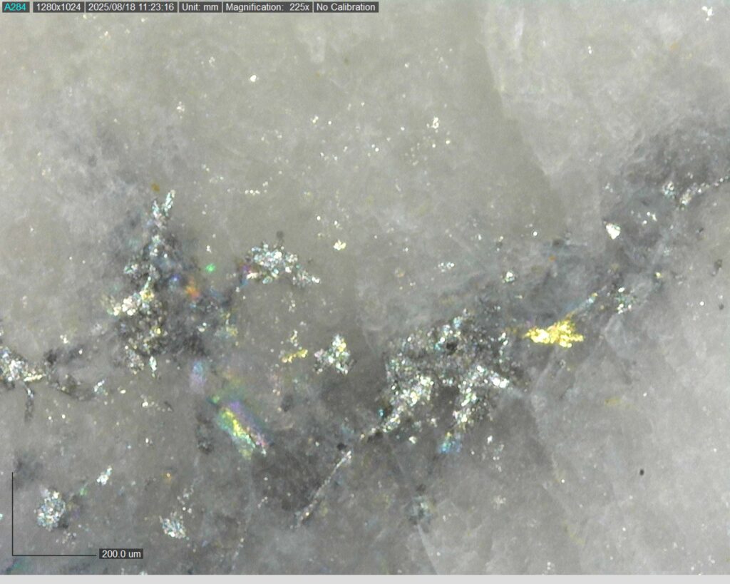 Ddrcgr 25 025 Vg At 208.62m 225x0