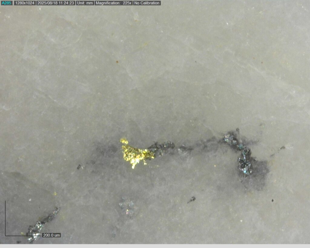 Ddrcgr 25 025 Vg At 208.62m 225x1