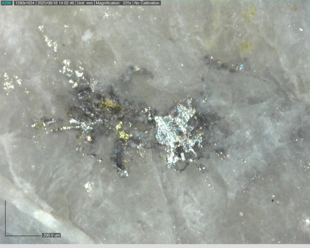 Ddrcgr 25 025 Vg At 228.05m 225x1