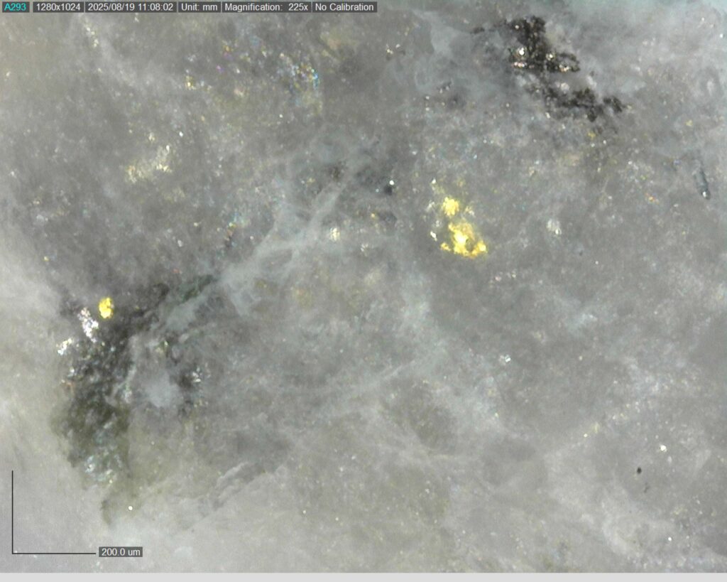 Ddrcgr 25 025 Vg At 277.16m 225x