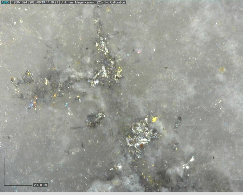 Ddrcgr 25 025 Vg At 302.79m 225x