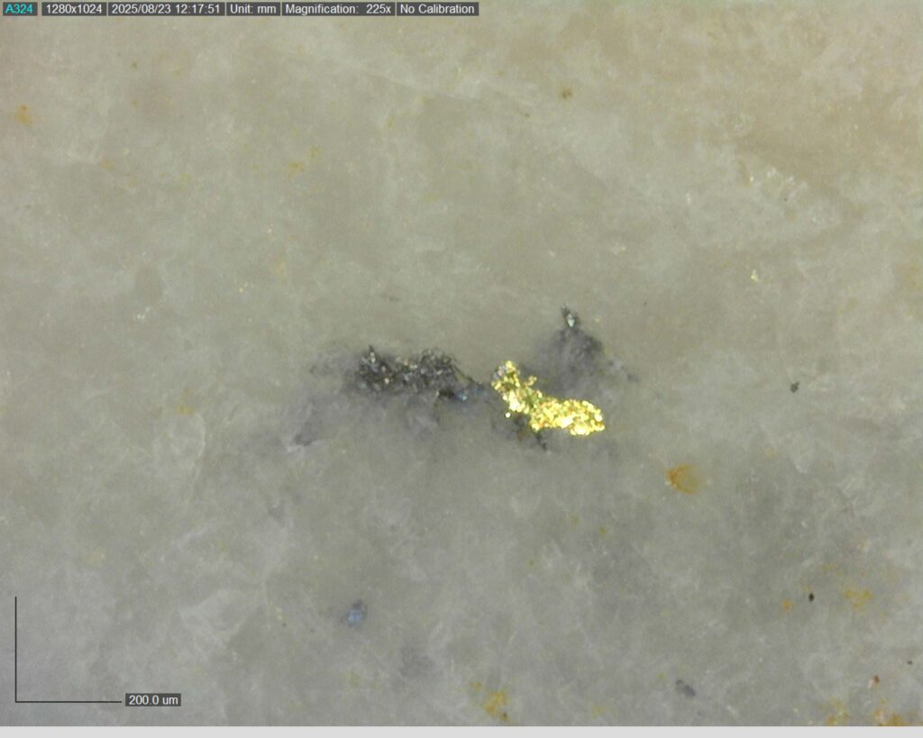 Ddrcgr 25 02 Vg At 116.78m 225x